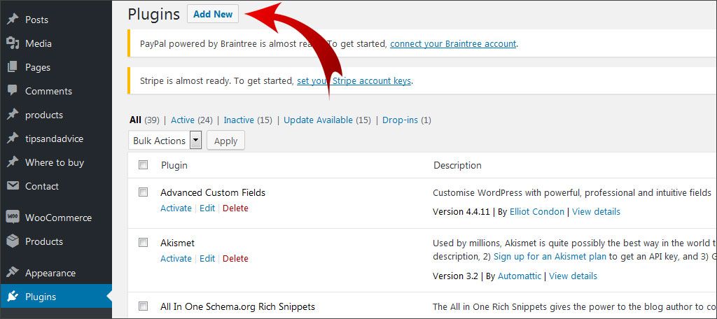 Go to Plugins and click Add New