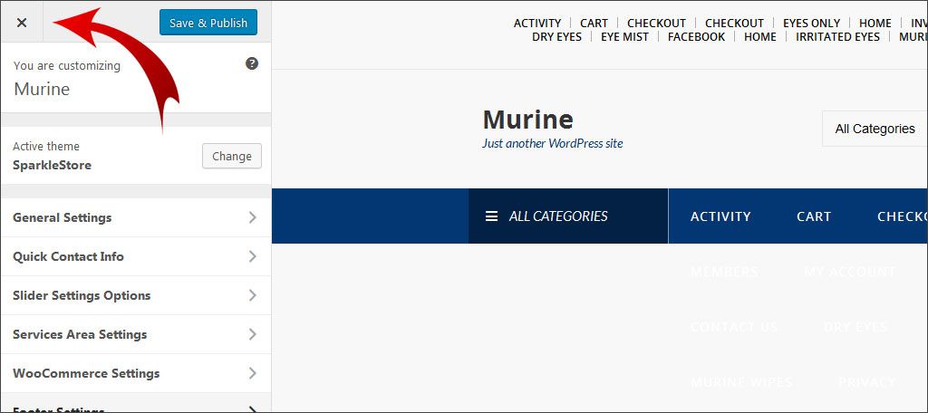Click X to return to admin panel
