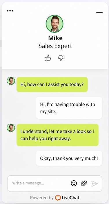 Live chat interface