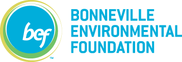 Boneville Energy Foundation