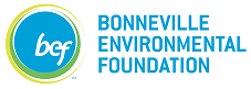 BEF logotype.