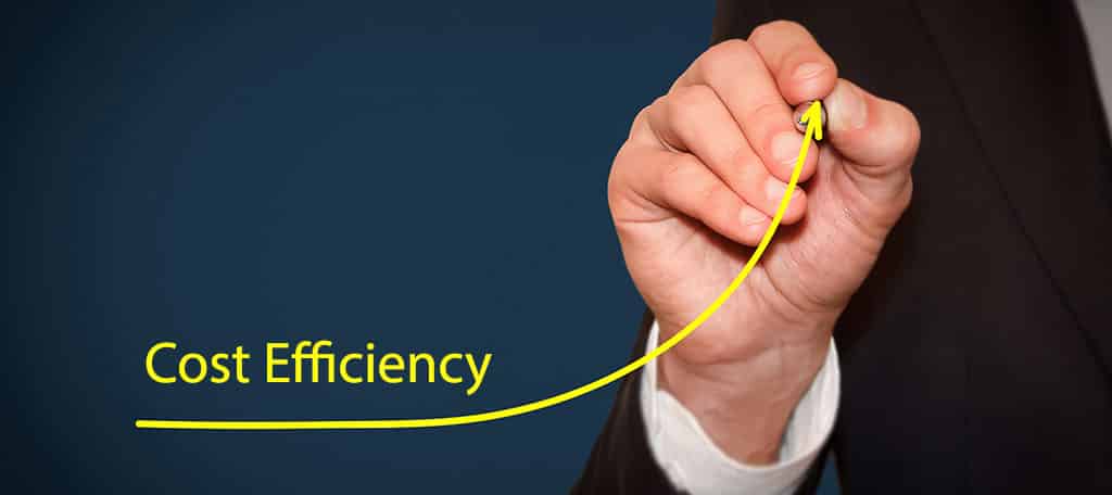 cost efficiency