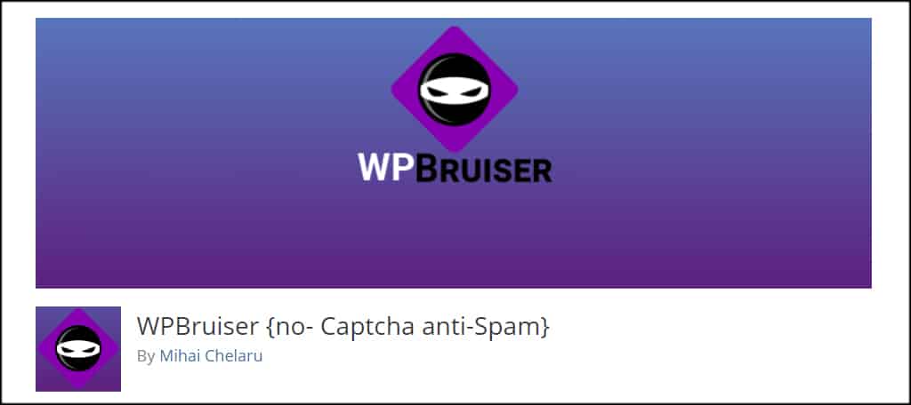 WPBruiser