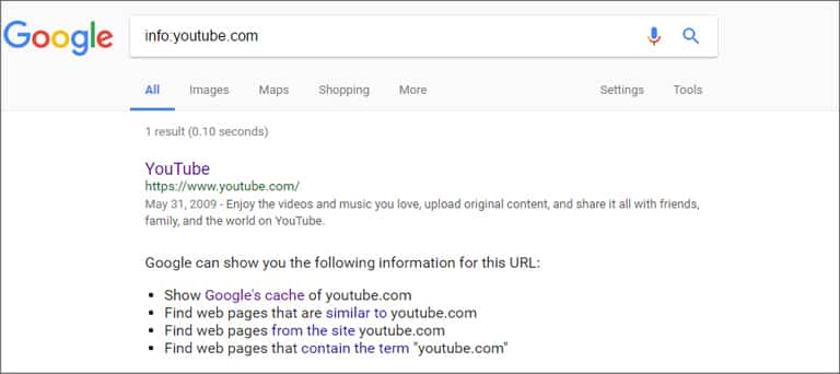 Google Search Info