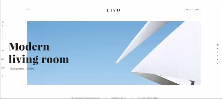 Livo Theme