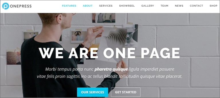 OnePress Theme