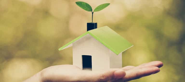 Forest-Friendly Products