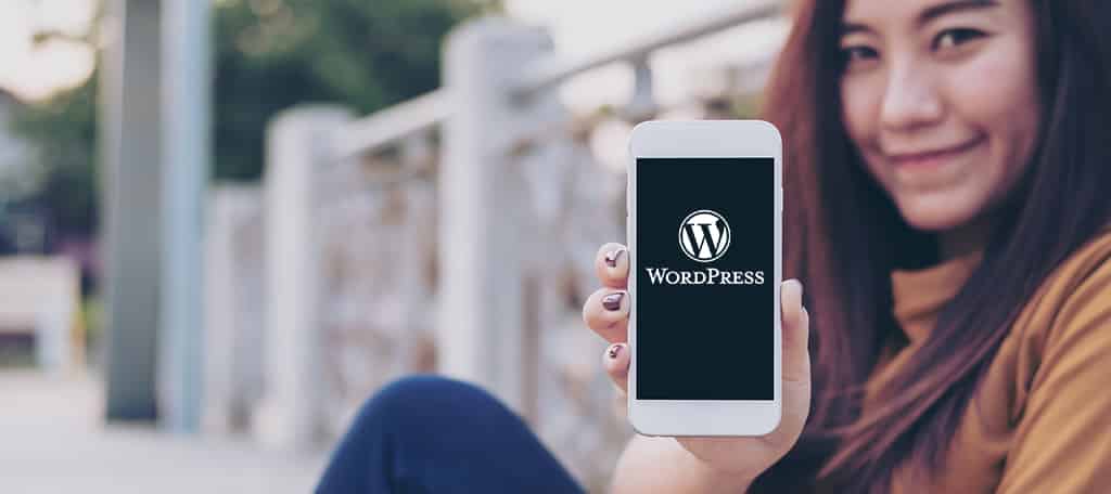 WordPress is Key to any Business