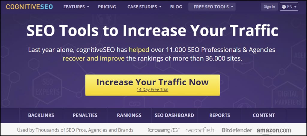 Cognitive SEO