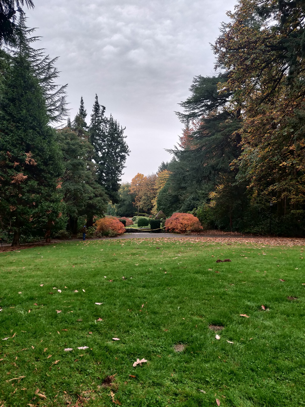 Oregon Nature