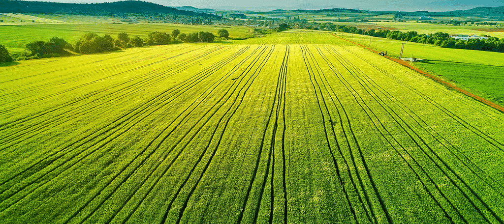 Farm Land