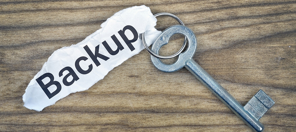 Viable Options to Backup your Data