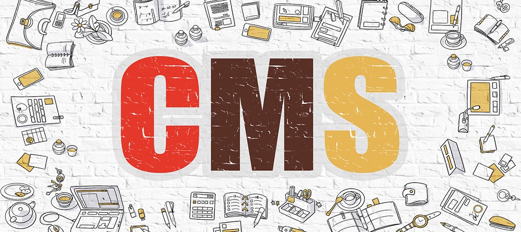 CMS Backup Tools and Plugins