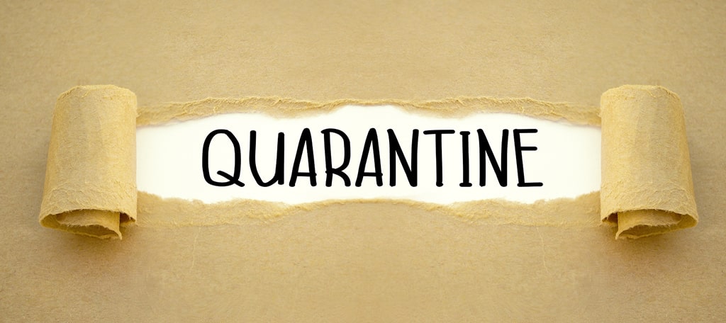 Domains in "quarantine" status cannot be reactivated or transferred by UK citizens
