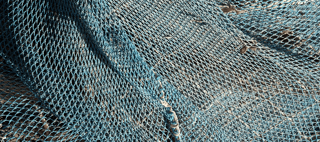 Fishing Net