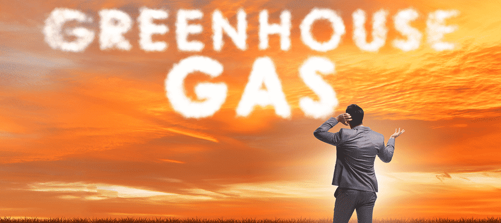 Greenhouse Effect