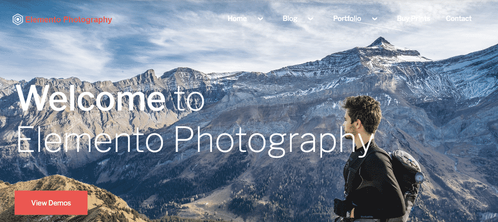 Elemento gutenberg photography theme