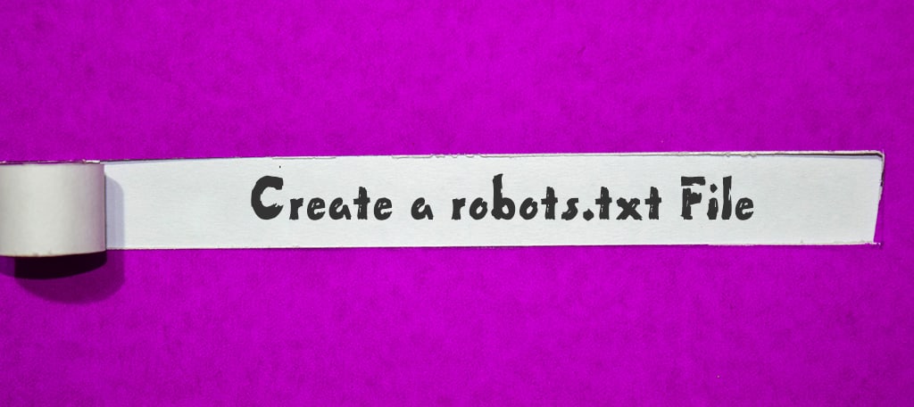 create a robots text file