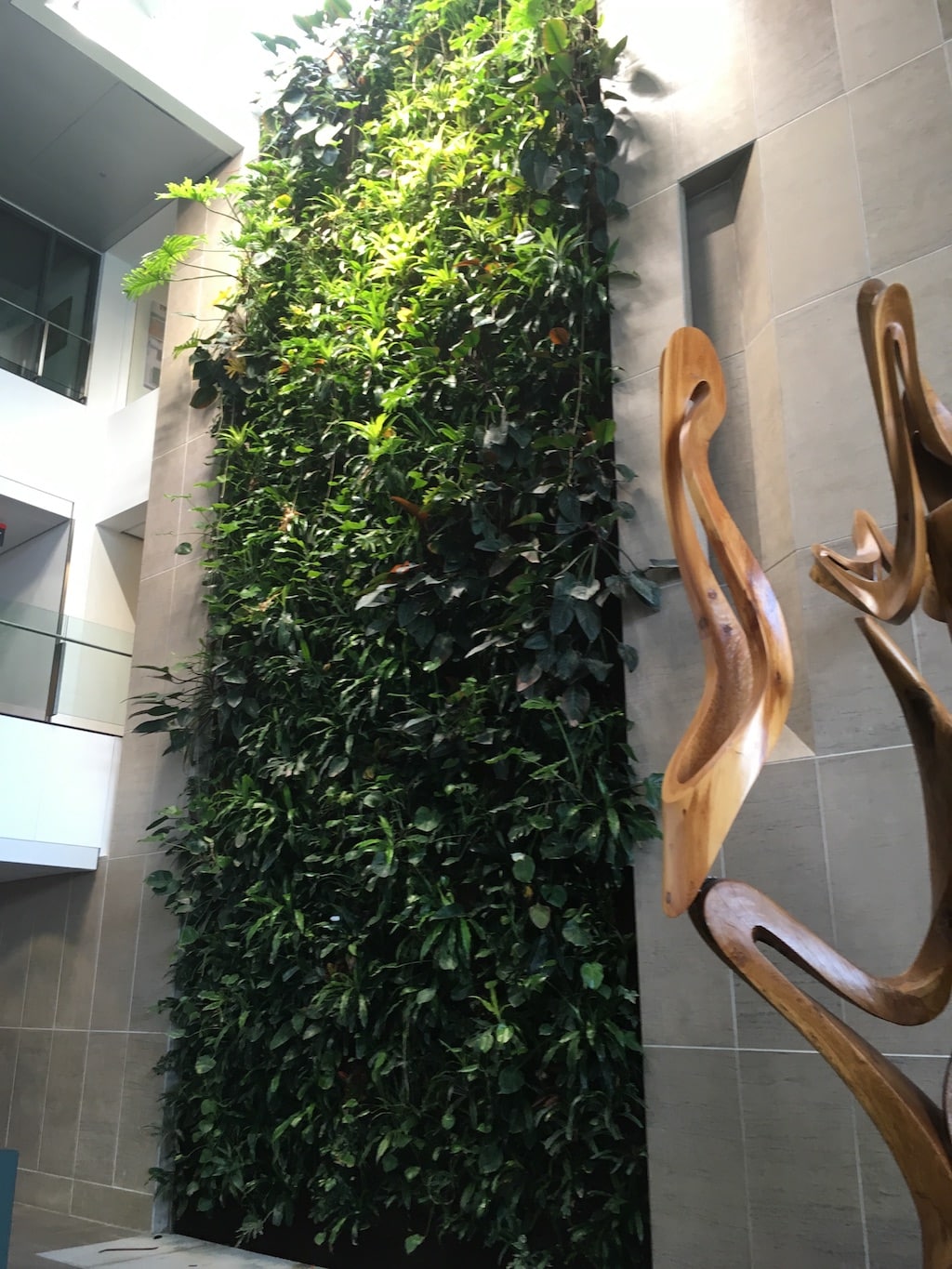 Plant wall
