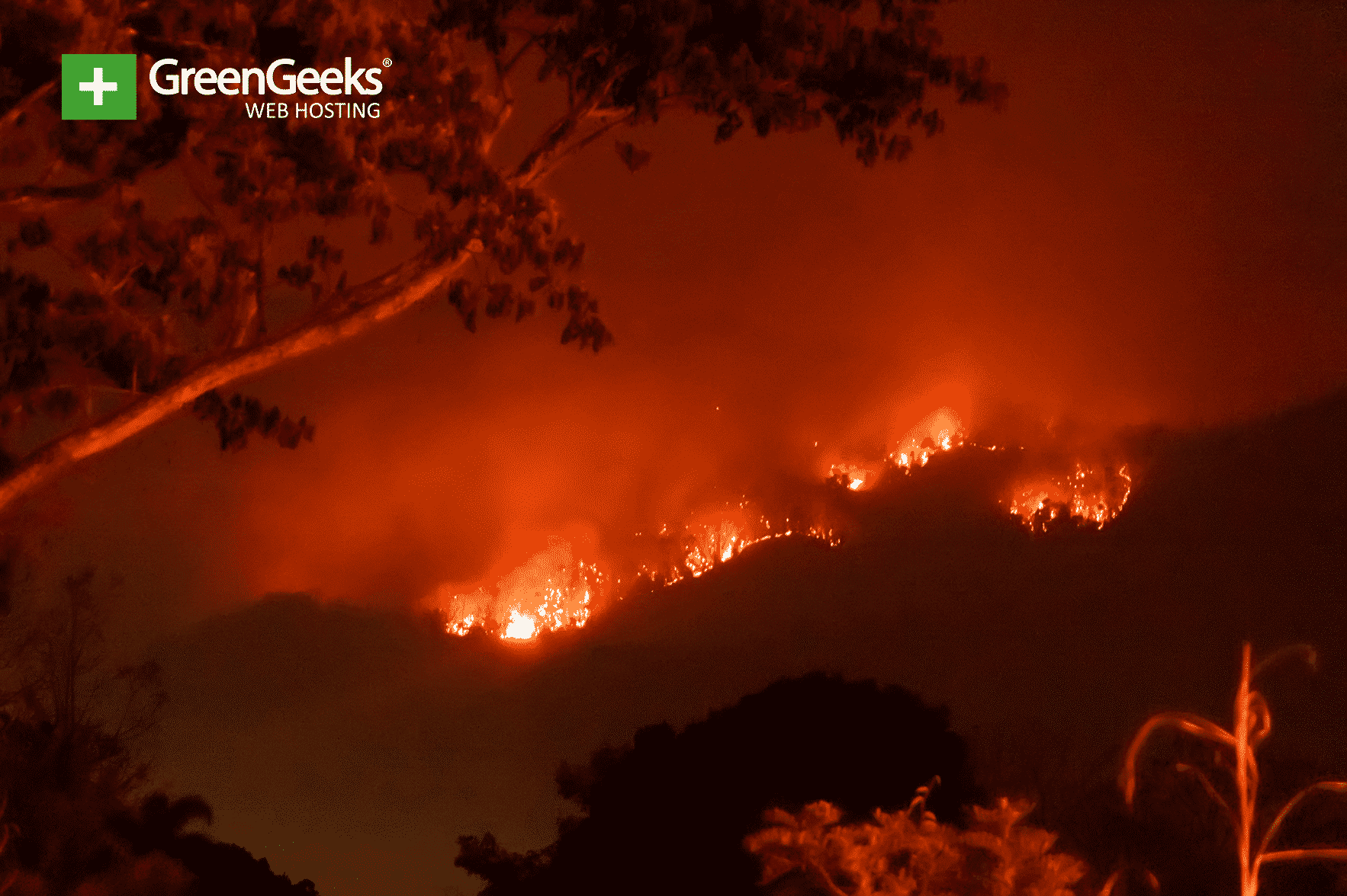 Bolivia Rainforest Fire