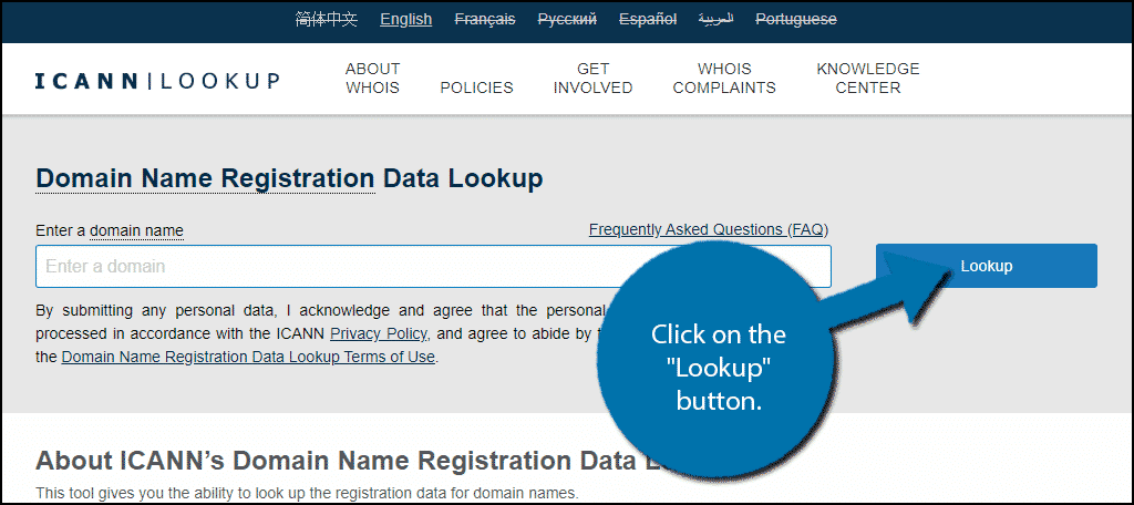 Find Out Who Owns a Domain with WHOIS Lookup