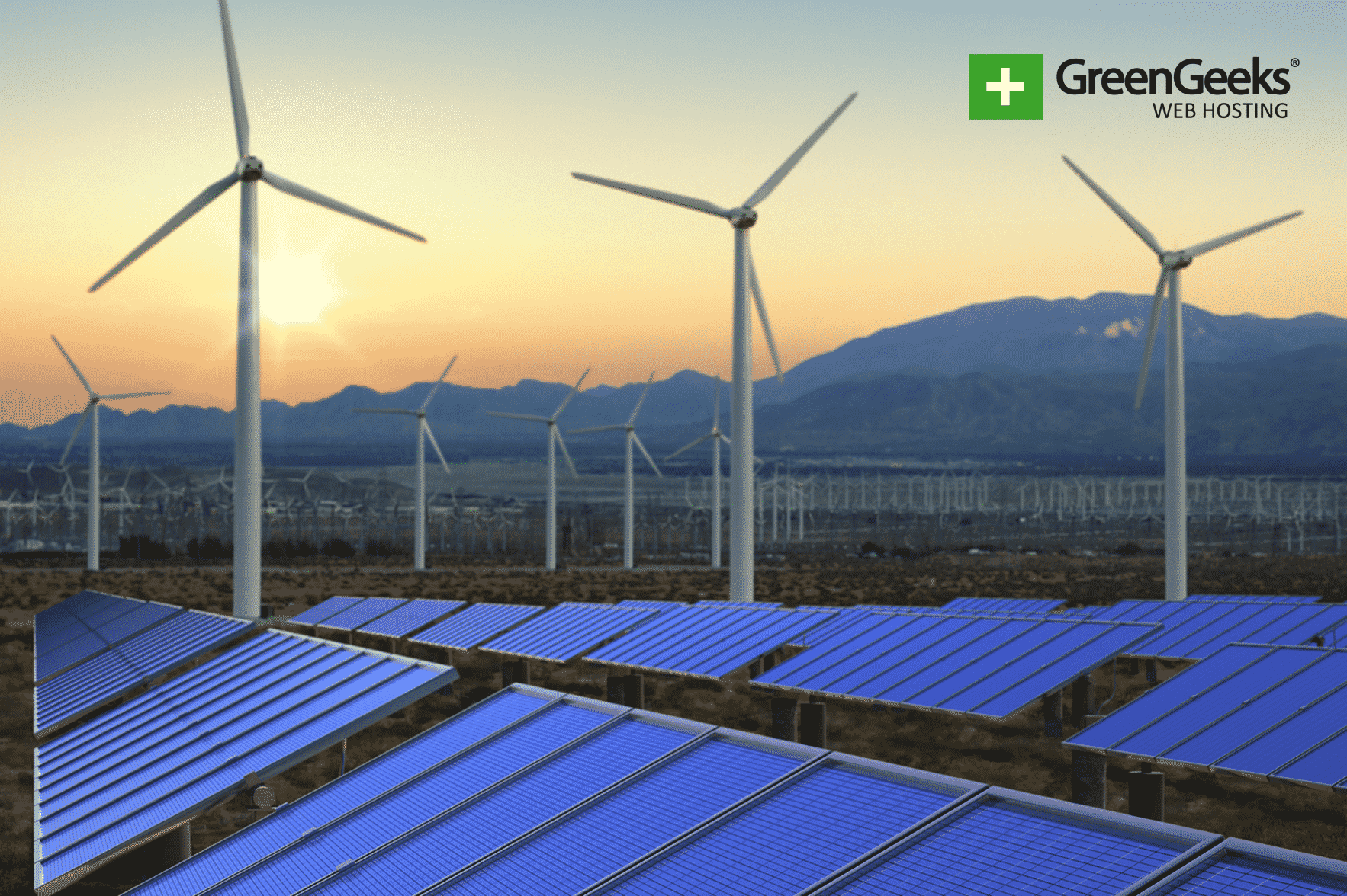 Google Makes Largest Purchase of Renewable Energy in History