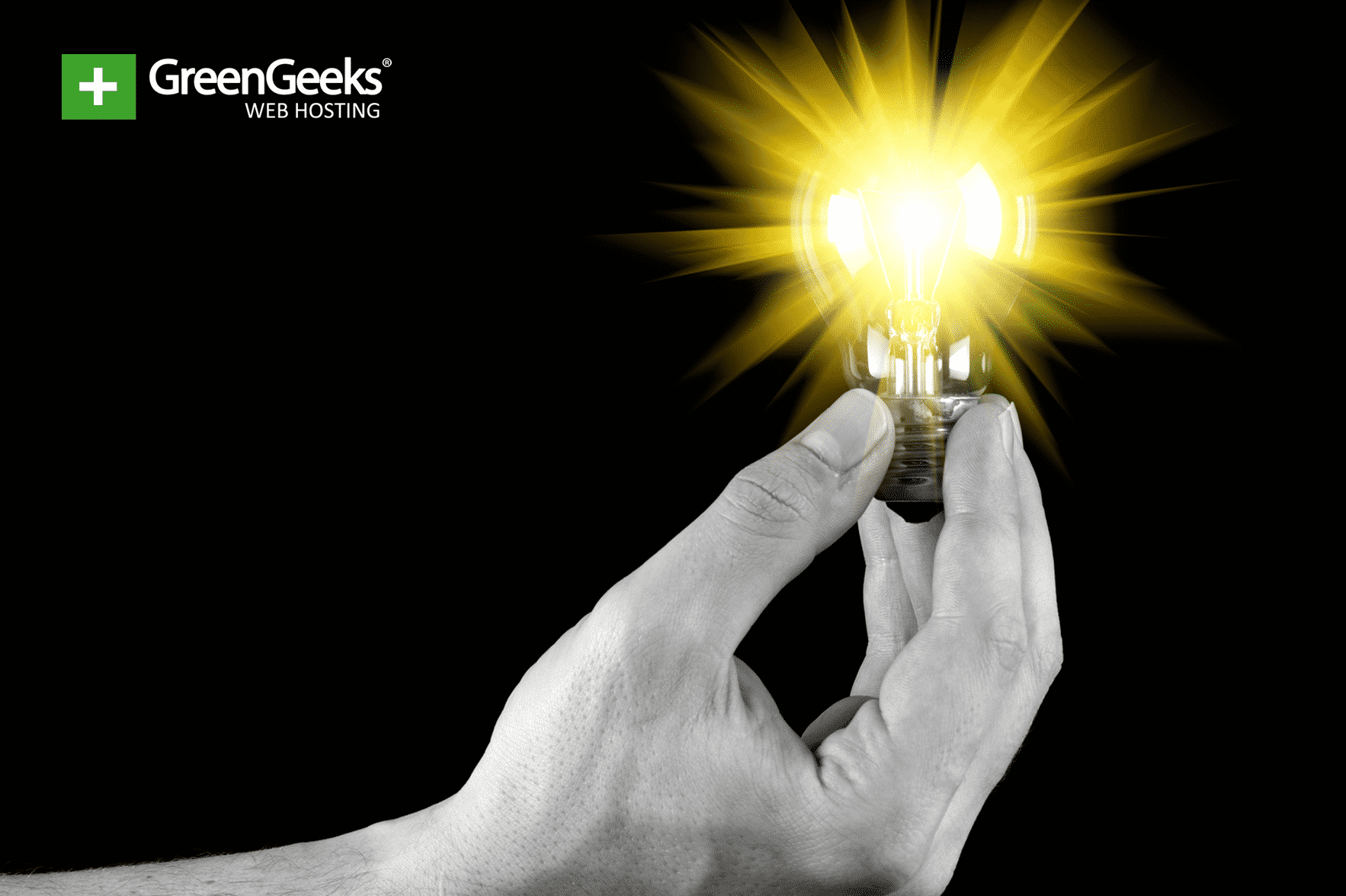 Light Bulb Efficiency