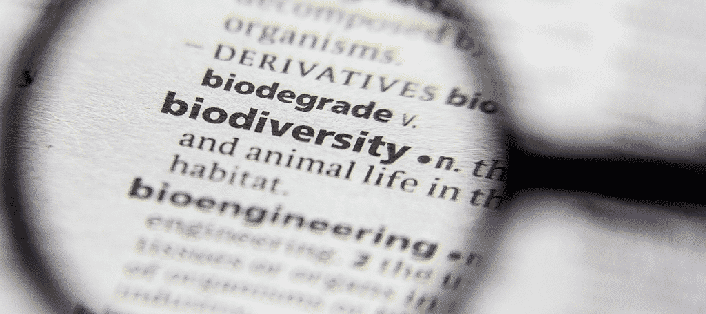 Biodiversity