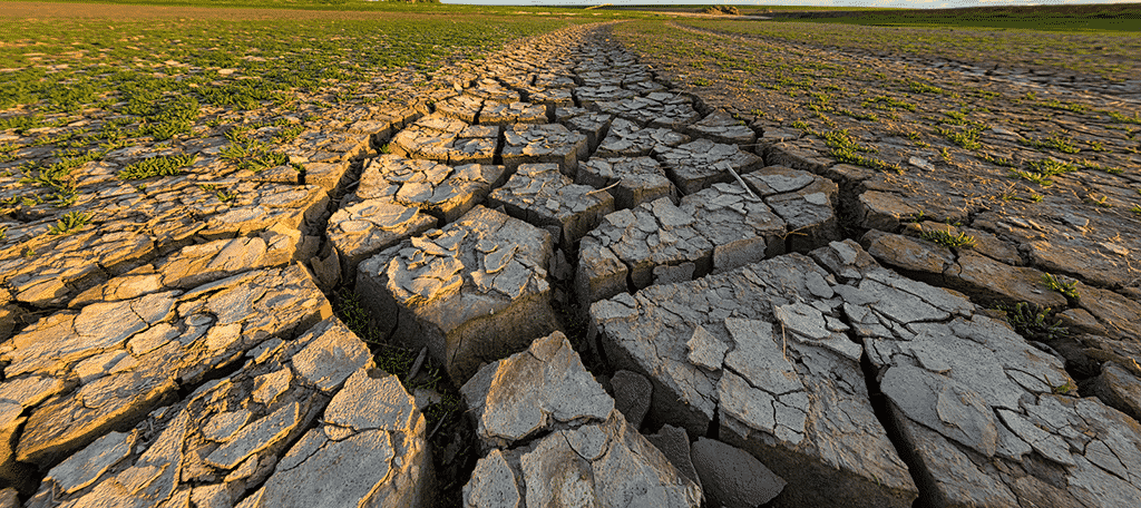 Uninhabitable Land