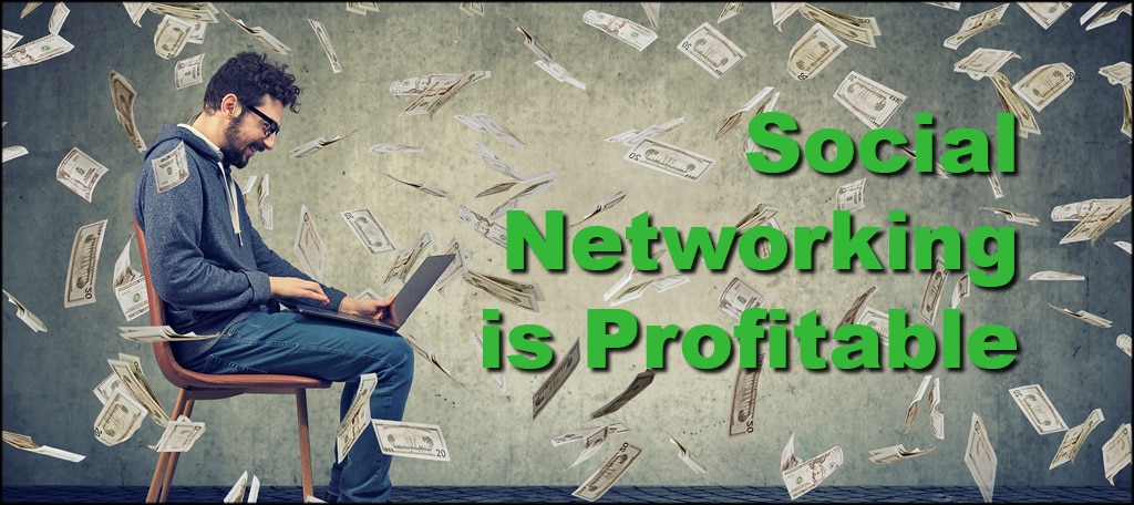 Social Networking Profitability