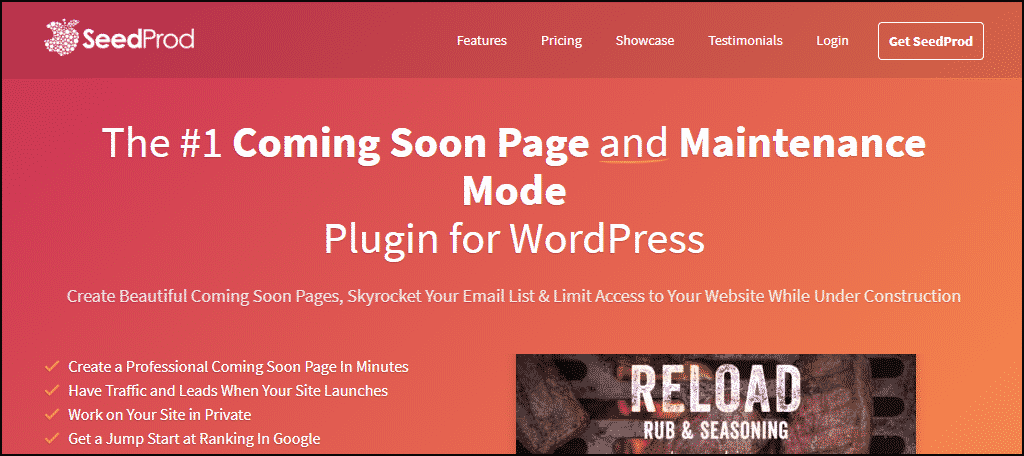 SeedProd WordPress plugin