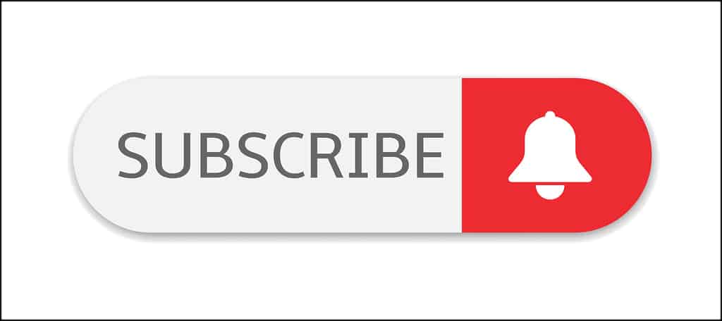 Gain Subscribers