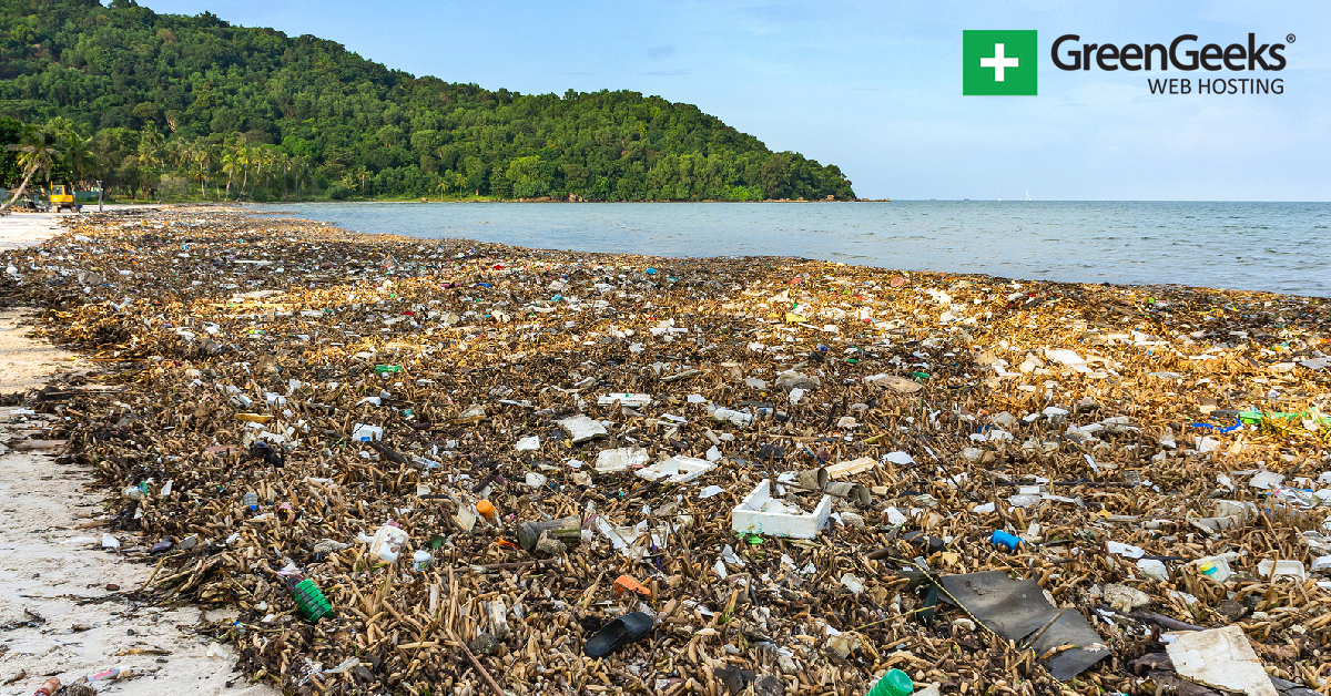 What Ocean Plastic Pollution Does to the World What Ocean Plastic Pollution Does to the World