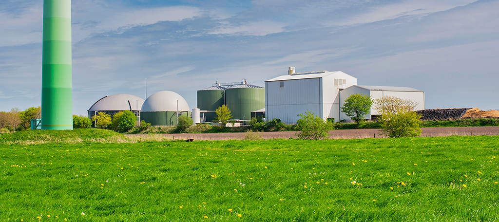 Renewable Energy Biogas