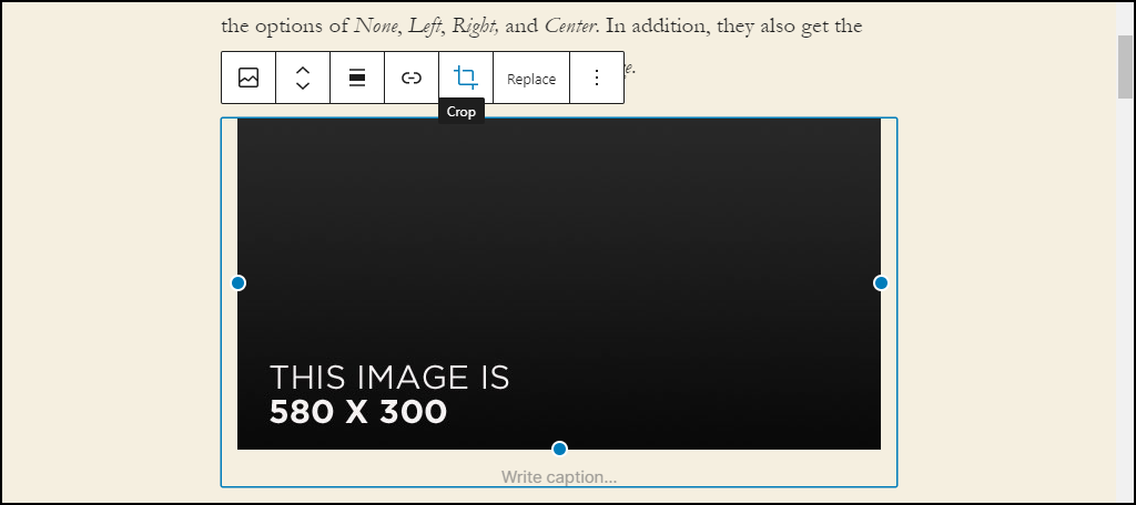 WordPress 5.5 click image crop icon