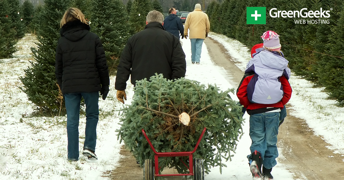 Cut Down This Year's Christmas Tree At A National Park