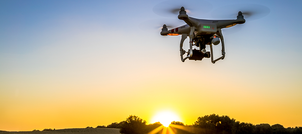 DroneSeed
