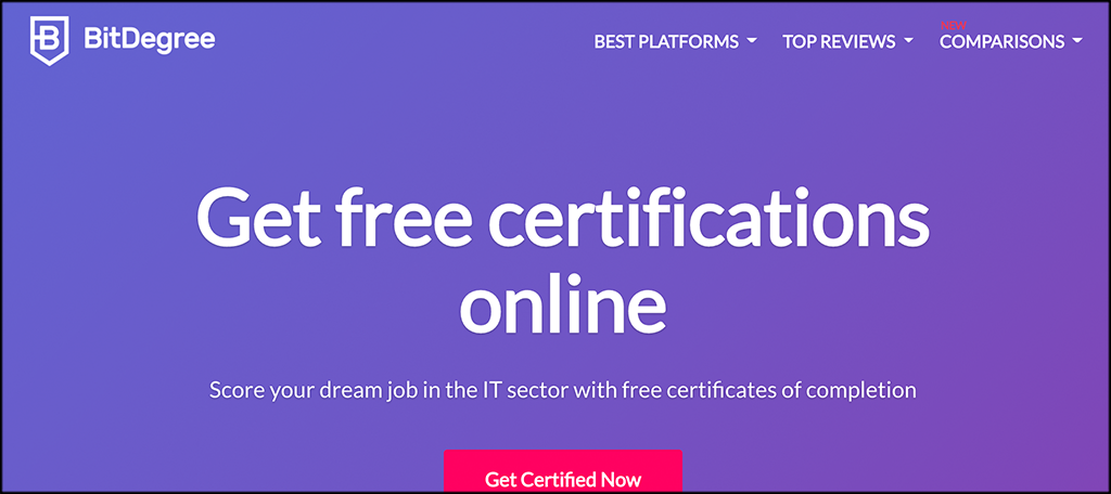 BitDegree programs for learning code