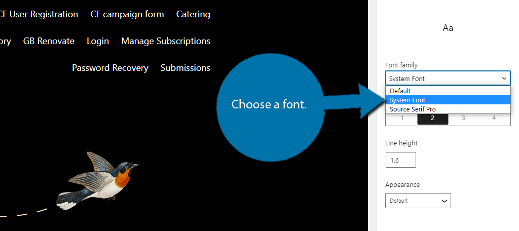 Choose Font