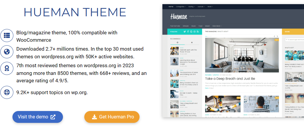 Hueman is one of the best free themes to build a business site with