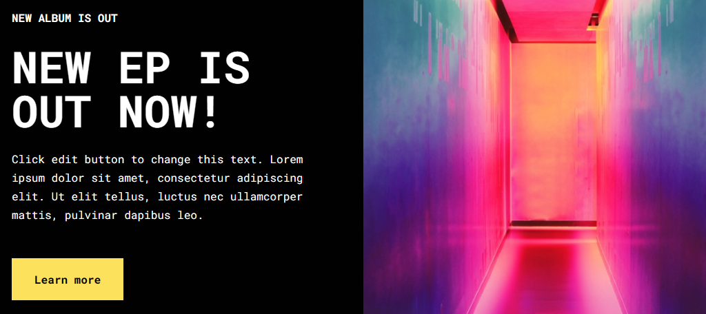 Neve is one of the best WordPress themes for musicians