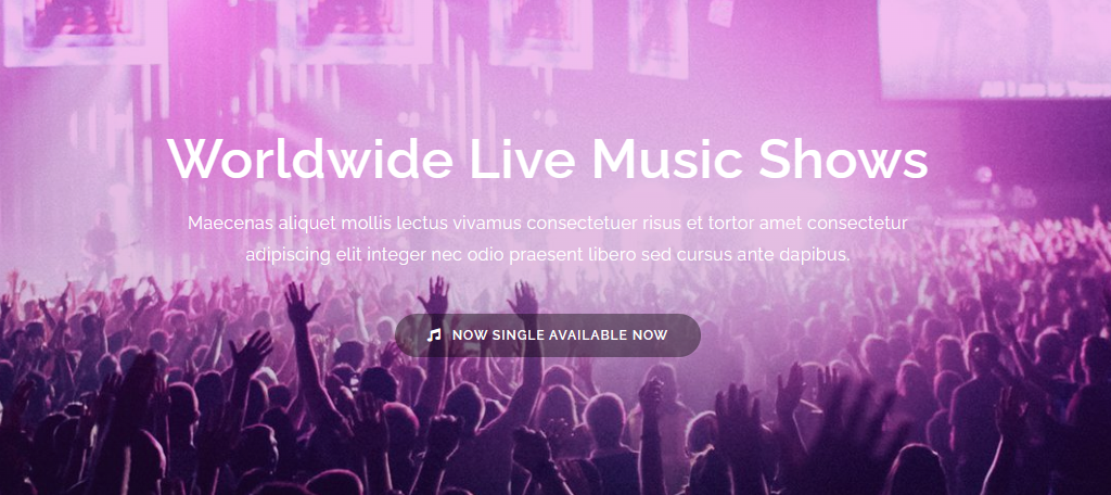 OceanWP is one of the best WordPress themes for musicians