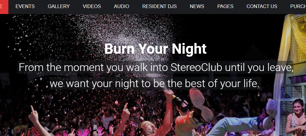 StereoClub is one of the best WordPress themes for musicians