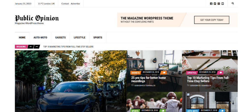 Public Opinion WordPress Theme