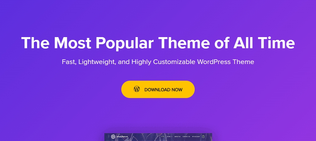 Astra is one of the best financial themes in WordPress