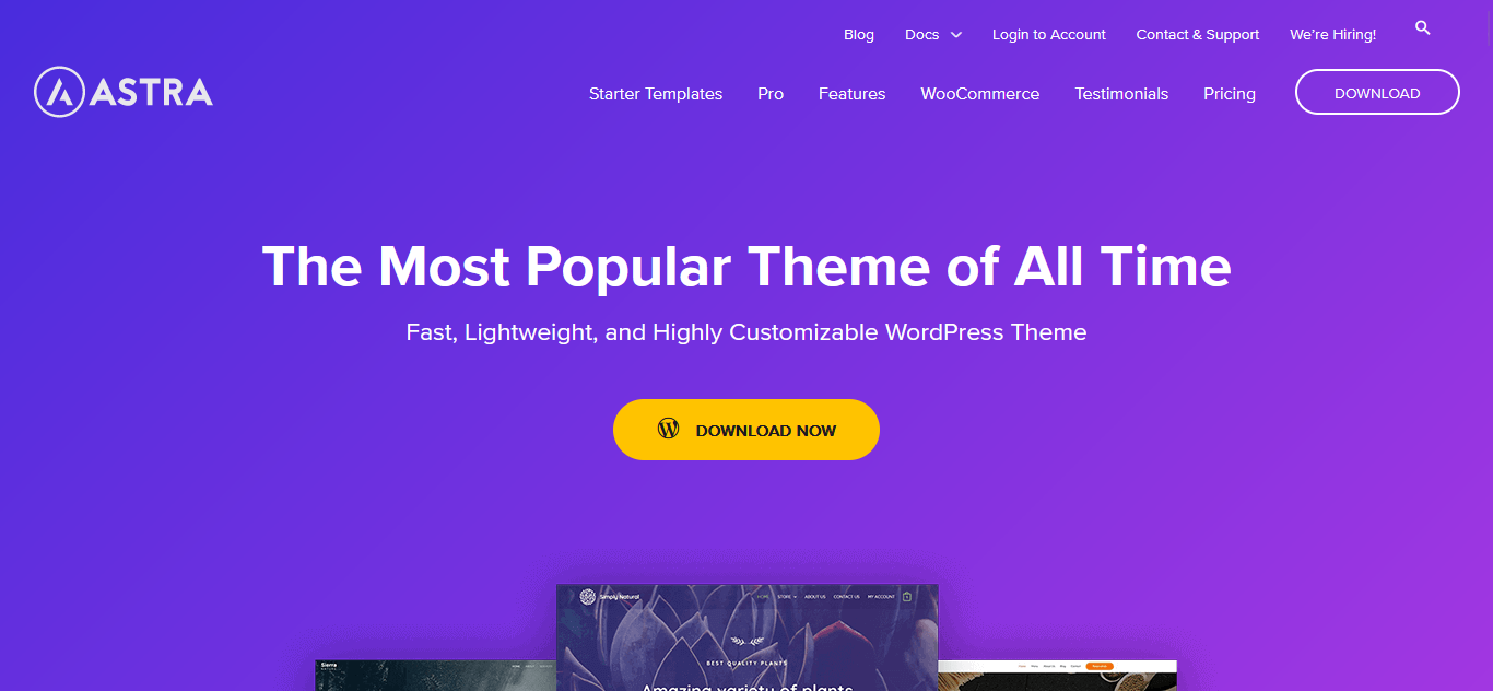 Astra WordPress Theme