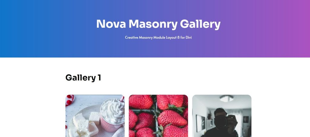 Divi Art Gallery Theme