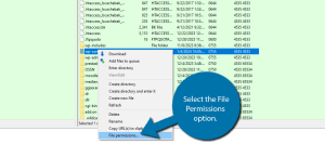 How to Use FileZilla (Ultimate Guide)