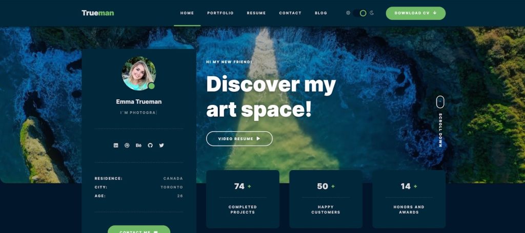 trueman wordpress resume theme