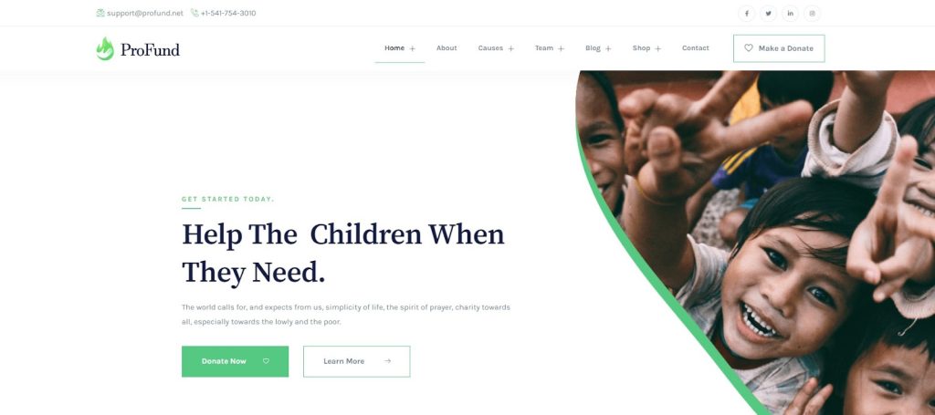 use profound as a wordpress theme for nonprofits